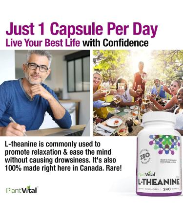PlantVital High Potency L-Theanine 250mg Capsules - 240 Count - L Theanine Supplement for Relaxation and Stress Management Non-GMO Made in Canada - L-Theanine Supplements 8 Month Supply 240 count (Pack of 1) - Buy Online on SooperMarket.com