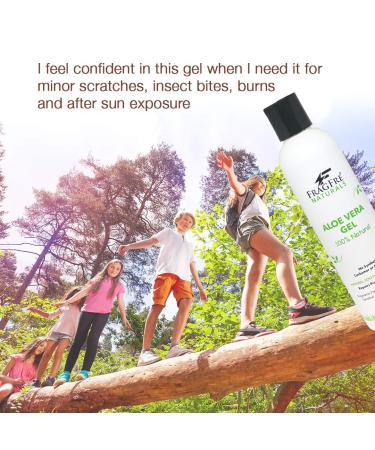FRAGFRE All-Natural Aloe Vera Gel 8 oz | 100% Natural Soothing Gel for Sunburn Relief | Fragrance Free Vegan Gluten Free - Buy Online on SooperMarket.com