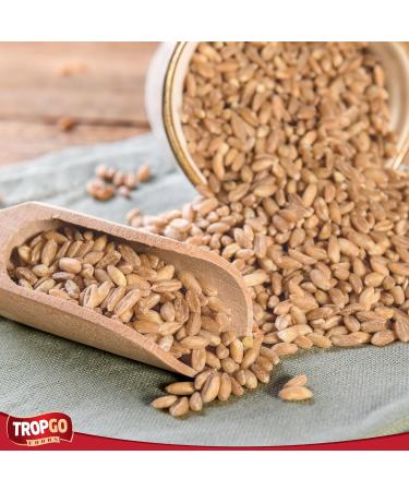 Tropgo Roasted Salted Sunflower Seed Kernels 125gr - Gluten Free Tub of Sun Flower Seeds - Non-GMO Seeds for Eating - Ready-to-Eat Snacks for Kids and Adults - Buy Online on SooperMarket.com