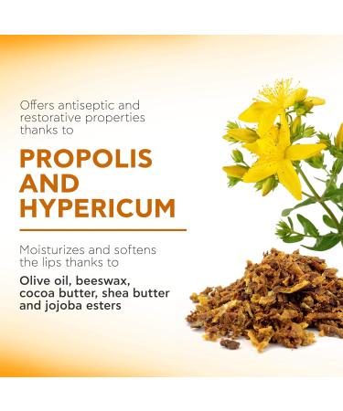 Apivita Lipcare Propolis 4.4 g - Buy Online on SooperMarket.com
