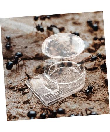 FOMIYES Pet Water Feeder Ant Nest Feeder Ant Nest Water Cup Ant Keeper Tools Climbing Pet Water Dispenser - Buy Online on SooperMarket.com