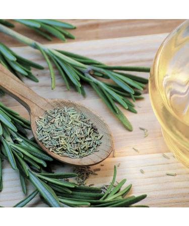 Rubbed Rosemary 100g Natural Herb Premium Quality Non-GMO Gluten-Free Aromatic Herb for Cooking Seasoning and Marinades Fresh and Fragrant No Additives - Buy Online on SooperMarket.com
