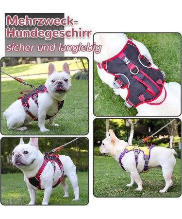 Multi-Purpose Dog Harness with Leash Set - Outbreak-Proof Safety Dishes for Small & Medium Dogs (Black L) - Durable Anti-Train Dog Harness - Buy Online on SooperMarket.com