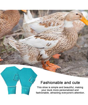 higyee Wildlife Protection Shoes - Anti-slip Protection Shoes for Wildlife | Shoes for Goose and Large Ducks Birds Hens Duck Accessories - Buy Online on SooperMarket.com