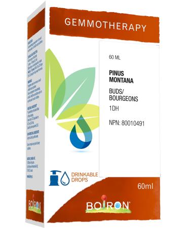 Gemmotherapy pinus montana buds (mountain pine) 1dh 60ml homeopathic medicine 60 milliliter by Boiron Canada