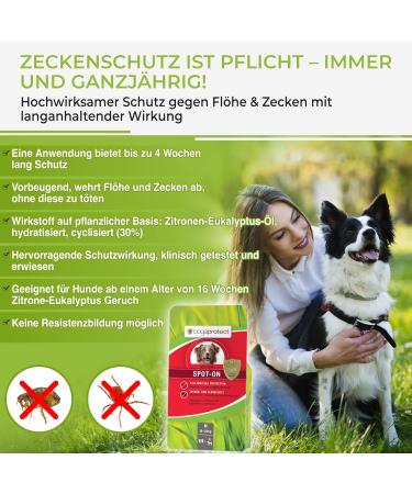 BogaProtect Spot On for Dogs - Natural Flea & Tick Protection (10-20 kg) | 12 Weeks Supply | UBO0352 - Buy Online on SooperMarket.com
