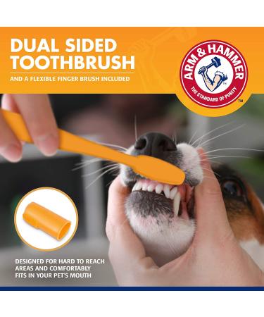 Arm & Hammer Tartar Control Dental Kit for Dogs - Beef Flavor | Freshens Breath & Supports Oral Health - Buy Online on SooperMarket.com