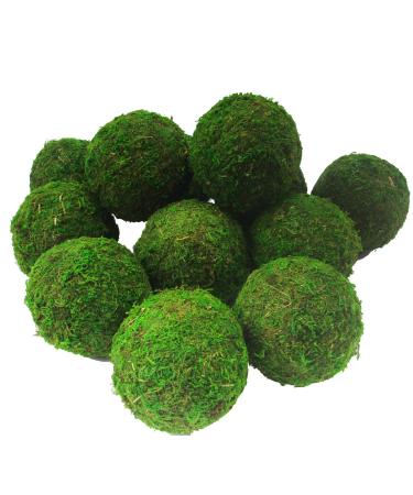 kaveno Green Moss Decorative Ball Natural (2.4"-Set of 12 Green)