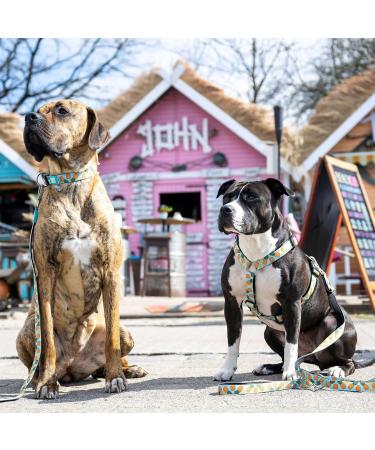 Max & Molly H-Harness - Sweet Pineapple | Comfortable & Stylish Pet Harness for Your Dog | International Shipping Available - Buy Online on SooperMarket.com