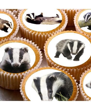 24 edible Badgers Badger British Wildlife kids childrens party decorations Iced/Icing Cupcake Topper Edible Fairy Cake Bun Toppers Round