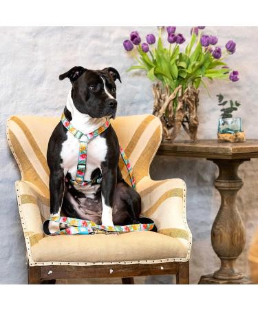 Max & Molly H-Harness - Exotique | Comfortable & Stylish Pet Harness for International Shipping - Buy Online on SooperMarket.com