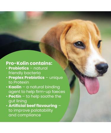 Protexin pet health Pro-Kolin for Dogs and Cats Probiotic Paste and Syringe 60 ml (Pack of 1) 60 ml (Pack of 1) Single Single - Buy Online on SooperMarket.com