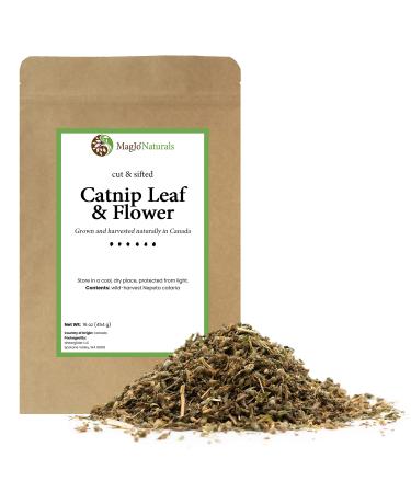 MagJo Naturals Farm Direct Catnip | Freshest Available | Bulk Bag Full Pound