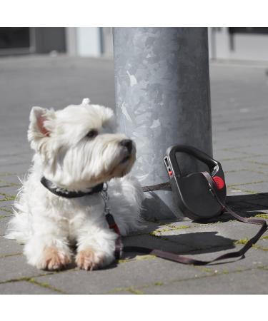 Dogxi 5m Retractable Dog Leash for Small & Medium Dogs - Adjustable Black Belt with Carabiner Perfect for Car Use - 25kg Capacity - Buy Online on SooperMarket.com