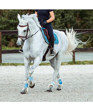 HORZE Horse Bridle Sion - English Noseband & Reins for Thoroughbred - Brown Color - International Shipping Available - Buy Online on SooperMarket.com
