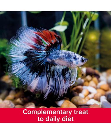 King British | Bloodworm Treats | For All Coldwater Tropical & Marine Fish Turtles & Terrapins | High Protein & Iron | Provides Excellent Colour & Condition | Complementary Treats | 7g Single - Buy Online on SooperMarket.com