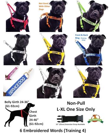 NERVOUS (Give Me Space) Yellow Colour Coded Non-Pull Dog Harness and 60cm 1.2m 1.8m Luxury Neoprene Padded Handle Lead Sets PREVENTS Accidents By Warning Others Of Your Dog In Advance (Harness & 1.8m) Harness & Long 1.8m/72inch Lead - Buy Online on SooperMarket.com