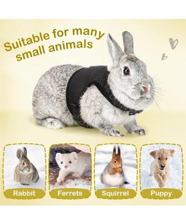 Adjustable Soft Rabbit Dishes & Elastic Leash for Small Animals | XL Black Pet Dishes & Walking Leash for Bunnies & Cats - Buy Online on SooperMarket.com