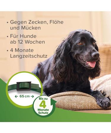 Beaphar Tick and Flea Protection Collar for Dogs - 4 Months Repellent Adjustable Rainproof - Dark Green 65 cm - Buy Online on SooperMarket.com
