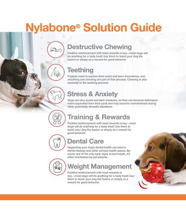 Nylabone Flavor Frenzy Power Chew Triple Pack - Chili Cheese, Popcorn & Cherry - Small/Regular (3 Count) - Buy Online on SooperMarket.com