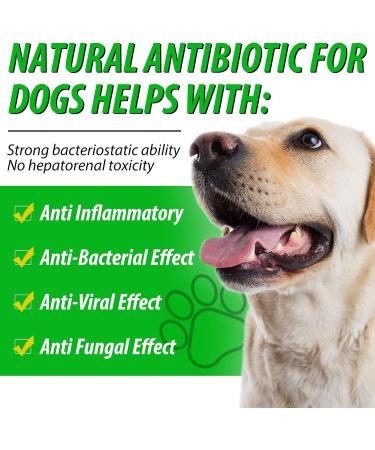Dog Health Supplement Drops for Allergy Relief, Skin Itch, Kennel Cough, UTI & Ear Infection - Multivitamin Bacon Flavor - 2 Fl Oz - Buy Online on SooperMarket.com