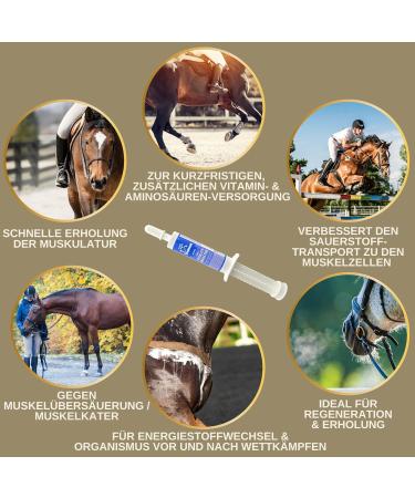 Premium Vitamin Paste for Horses | Amino Acids & Energy Booster | Muscle Regeneration & Performance | 3x30ml - Buy Online on SooperMarket.com