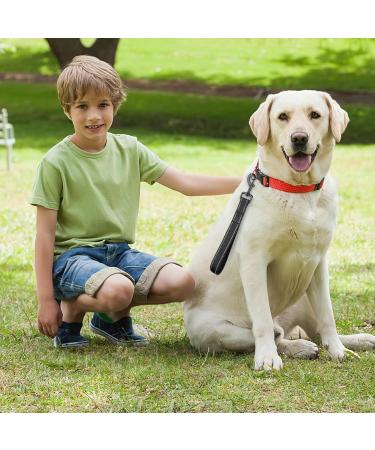 Short Dog Leash with Padded Handle | Reflective Nylon for All Dog Sizes | 32cm Training Leash - Buy Online on SooperMarket.com