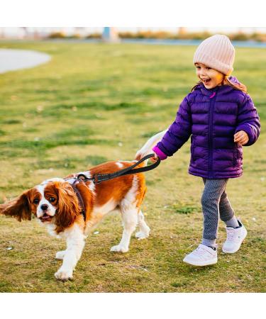 Short Dog Leash with Padded Handle | Reflective Nylon for All Dog Sizes | 32cm Training Leash - Buy Online on SooperMarket.com