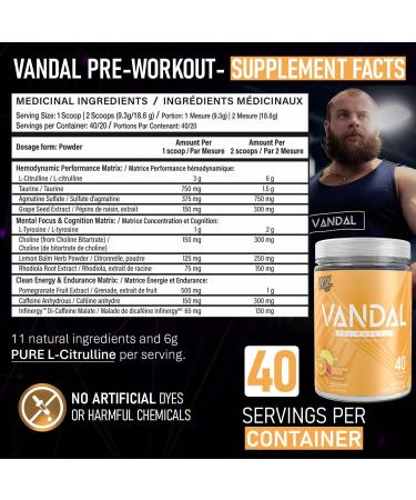 Vandal | Pre Workout Powder - Safe Nootropic Pre Workout Supplement for Men & Women | Boosts Energy Focus Performance & Recovery | Nitric Oxide Booster for Blood Flow | 40 Servings (Squeezed Citrus) - Buy Online on SooperMarket.com