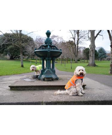High Visibility Reflective Fleece Dog Coat - Leash Hole 5 Sizes | Safe Outdoor Wear for Day & Night - Yellow M - Buy Online on SooperMarket.com