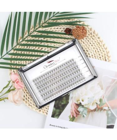 Glowing Win Individual Cluster Lashes - 120 PCS DIY Natural Eyelash Extensions | Wispy False Eyelashes 8-14mm Mix (0.07C 10D) - Buy Online on SooperMarket.com