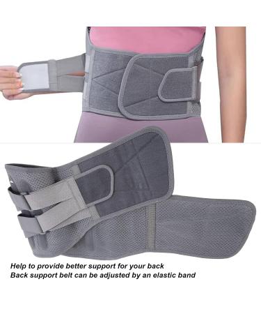 Back Support Belt Breathable Steel Plate Lumbar Support Brace for Lower Back Herniated Disc Back Brace Belt Lumbar Plate Support Lumbar Support Bracket - Buy Online on SooperMarket.com
