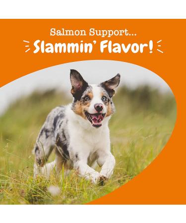 Zesty Paws Salmon Bites â€“ Skin & Coat Chews for Dogs | 90 Soft Chews, All Ages - Buy Online on SooperMarket.com