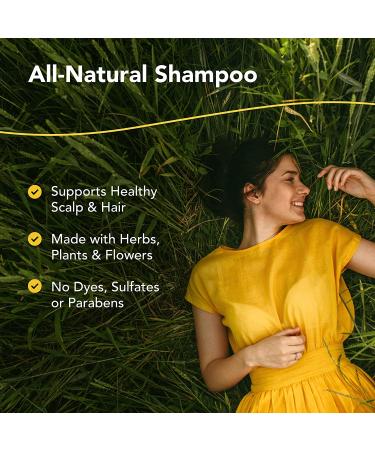 North American Herb & Spice ScalpClenz Shampoo - 8 oz | Moisturizing, Non-GMO Formula for Healthy Scalp & Hair | No Petrochemicals, Dyes, or Sulfates - Buy Online on SooperMarket.com