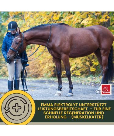 Emma Electrolyte Horse Liquid & Paste | Vitamin B12 Minerals & Sodium for Optimal Hydration | 1L & 30ml - Prevent Diarrhea & Support Performance - Buy Online on SooperMarket.com