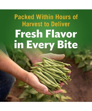 Del Monte Fresh Cut Blue Lake French Style Green Beans - No Salt Added (12 Pack, 14.5 oz Can) - Buy Online on SooperMarket.com