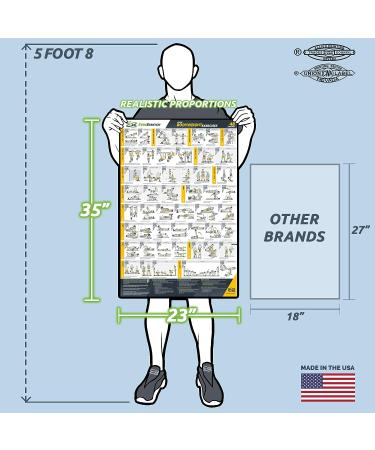 EverStretch Bodyweight Workout Poster - Large 23 x 35 | Video Instructions & Laminated Chart | Home Gym Exercise Poster - Buy Online on SooperMarket.com
