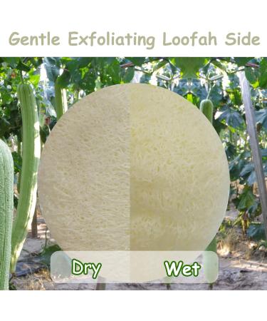15 Pack Mini Exfoliating Loofah Face Pads - Eco-Friendly Shower Scrubber & Makeup Cleanser - Buy Online on SooperMarket.com