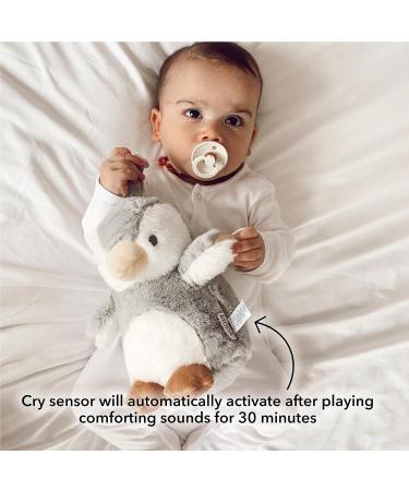 Nuby Penguin Baby Cry Sensor Sleep Aid | Calming Lullabies & White Noise | Soothe Baby to Sleep from Birth - Buy Online on SooperMarket.com