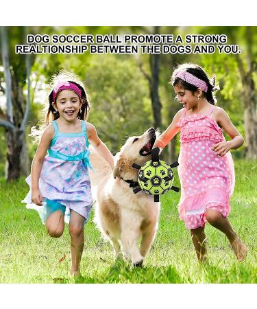 LOTUSWILD Durable Dog Toy Ball with Handle 15cm Ideal for Large Medium & Small Dogs Green | International Shipping Available - Buy Online on SooperMarket.com