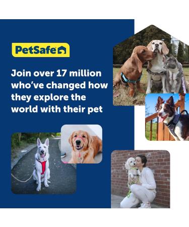 PetSafe Gentle Guide Collar - Beige Medium | Includes Training DVD | International Shipping - Buy Online on SooperMarket.com