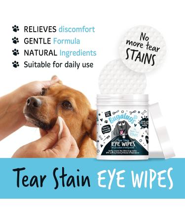 BUGALUGS Dog Eye Wipes 100 Biodegradable textured pre-soaked Dog Wipes. Safe & Easy Cleaning For Dogs - Pet Eye Wipes Remove Tear Stains Dog Eye Crust & Eye Discharge - Buy Online on SooperMarket.com