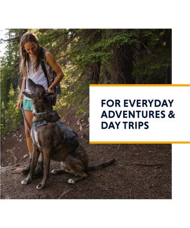 Luffwear Dog Dishes with Built-In Bags - All-Day Comfort for Small Breeds - Granite Gray - Perfect for Short Trips & Everyday Activities - Buy Online on SooperMarket.com