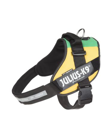 IDC Powerharness Size: 2XL/3 Lithuanian Colors Lithuanian Colors 2XL/3