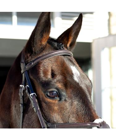HORZE Prescott Figure 8 Bridle - Brown, Horse Size - Buy Online on SooperMarket.com