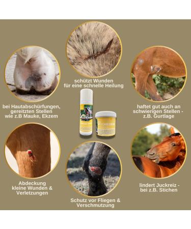 Zinc Ointment & Spray for Dogs & Horses | Wound Healing Protection | 2x250ml Zinc Oxide Solution - Buy Online on SooperMarket.com