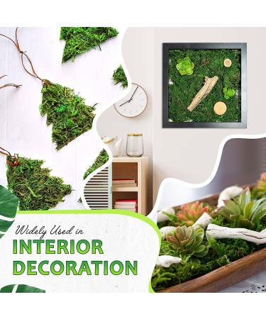 DUSPRO Moss Mat 2Pcs - Self Stick Moss for Crafts & Decor - 13x9.5 Inches - Ideal for Moss Wall Decor & Wedding Party - Green Sheet Moss - Buy Online on SooperMarket.com