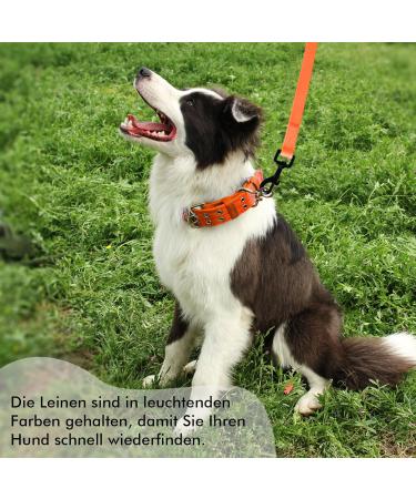 Buy Tag Trag Dog Leash - 5m Waterproof Training Line for Small & Medium Dogs | Easy to Clean Durable with Handle & D-Ring International Shipping Available - Buy Online on SooperMarket.com
