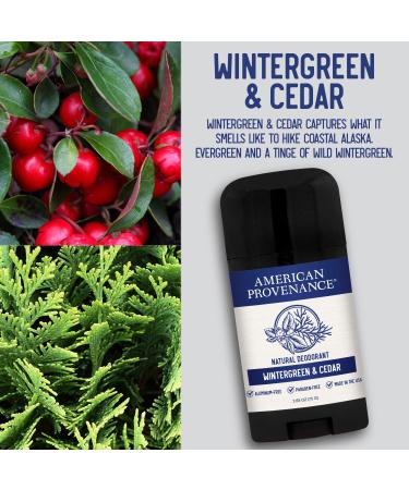 American Provenance All-Natural Men's Deodorant - Aluminum Free, Essential Oils, Long-Lasting, Made in USA - Wintergreen & Cedar - Buy Online on SooperMarket.com