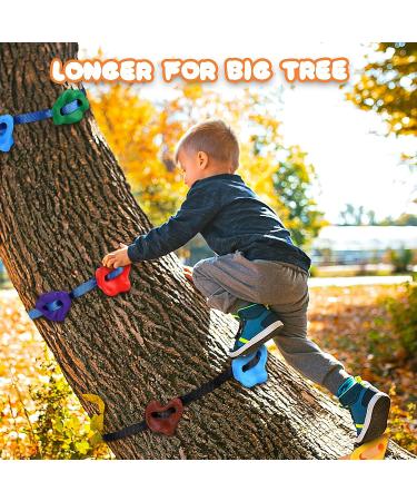 Happy Motte Tree Rock Climbing Holds for Kids - 12 Holds with 6 Ratchet Straps for Warrior Obstacle Course - Outdoor Playground Backyard Accessories - Buy Online on SooperMarket.com
